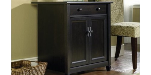 Printer & Utility Cabinet Only $67 Shipped