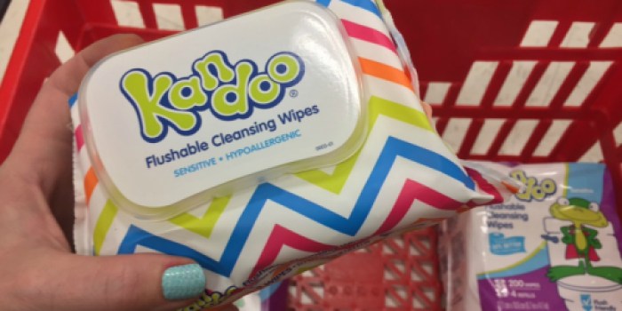 Target: Kandoo Flushable Wipes 50 Count Pack Just 59¢ & More Great Buys
