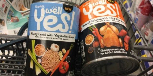 CVS: Score 2 FREE Well Yes! Soups (Starting 4/16)