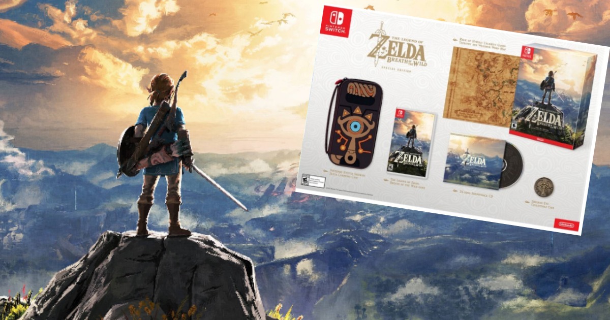 breath of the wild case and coin