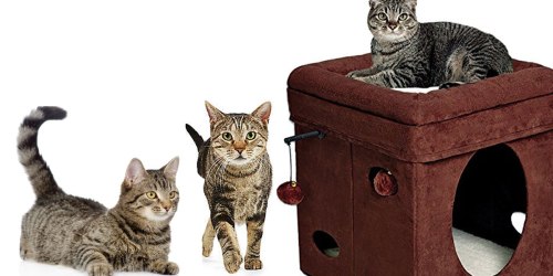 Hey Cat Lovers! Curious Cat House ONLY $8.41