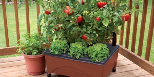 Home Depot: Patio Garden Kit w/ Automatic Watering System ONLY $19.98 & More