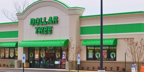 Dollar Tree is Raising Prices | Everything Will Now Cost $1.25