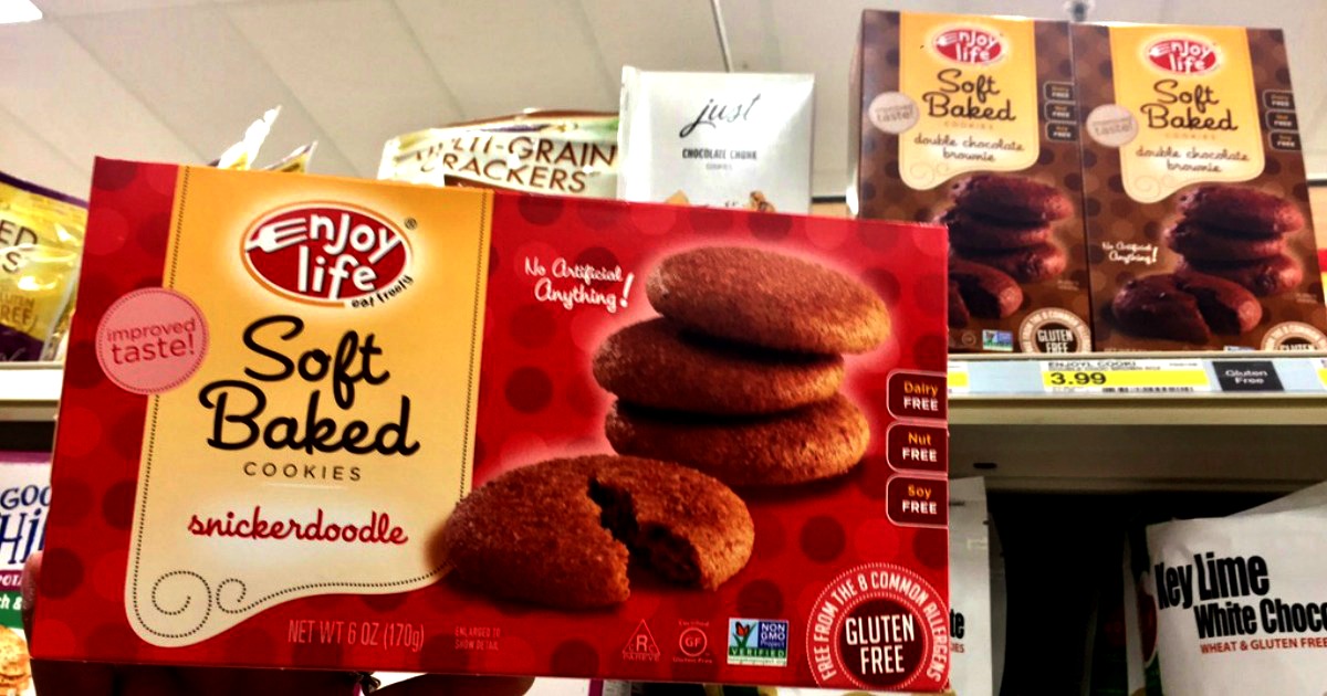 $2 Off Enjoy Life Food Product Coupon = Gluten-Free ...