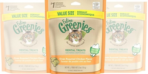 Amazon: Feline Greenies Dental Cat Treats 5.5oz Just $2.49 Shipped (Regularly $6)