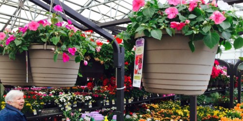 Home Depot’s Memorial Day Sale Live Now | Hot Buys on Flowers, Patio Furniture, $2 Mulch, 25¢ Pavers & More
