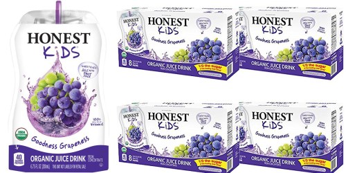 Amazon: Honest Kids Organic Juice 32-Count Pack Only $10.89 Shipped (Just 34¢ Per Pouch)