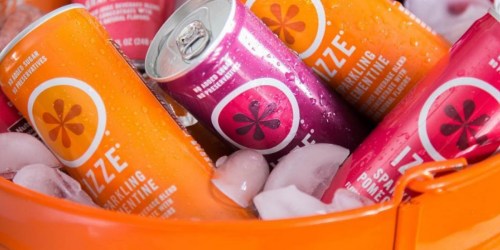 Amazon: IZZE Sparkling Juice 24-Count Variety Pack Just $8.62 (Only 36¢ Per Can)