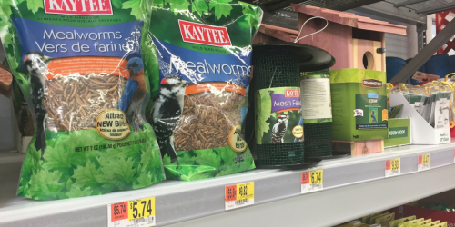 Rare $2/1 Kaytee Pets Coupon = Bird Food as Low as $3.74 + Feeder Only $4.74
