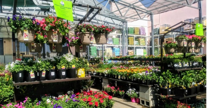Lowe's: Hanging Flower Baskets 2 for $10 (Regularly $12.98) + 50% off ...