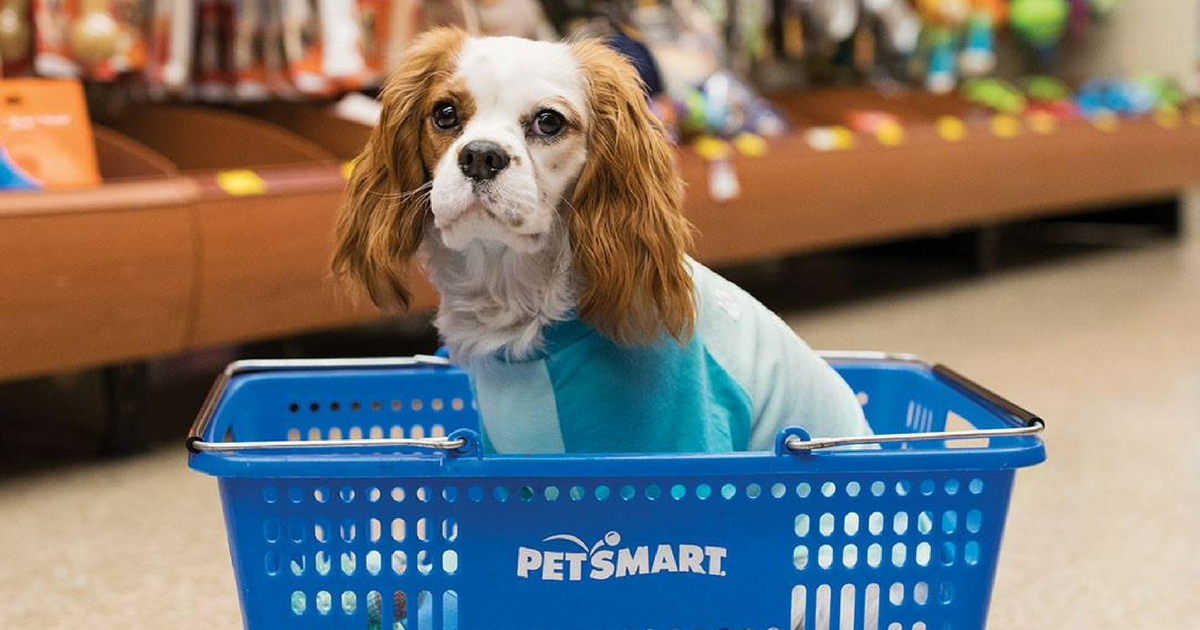 Dog bubbles shop petsmart