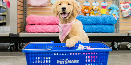 PetSmart: 30% Off Single Item = Dog Toys ONLY 69¢ + BIG Savings On Precious Litter, Greenies & More