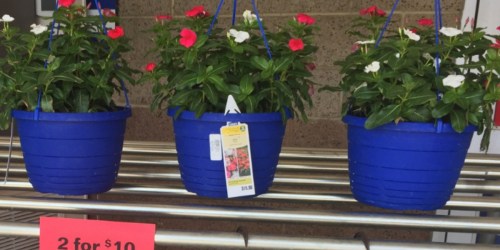 Lowe’s Memorial Day Sale: Hanging Baskets & Quart Planters ONLY $5 + Much More
