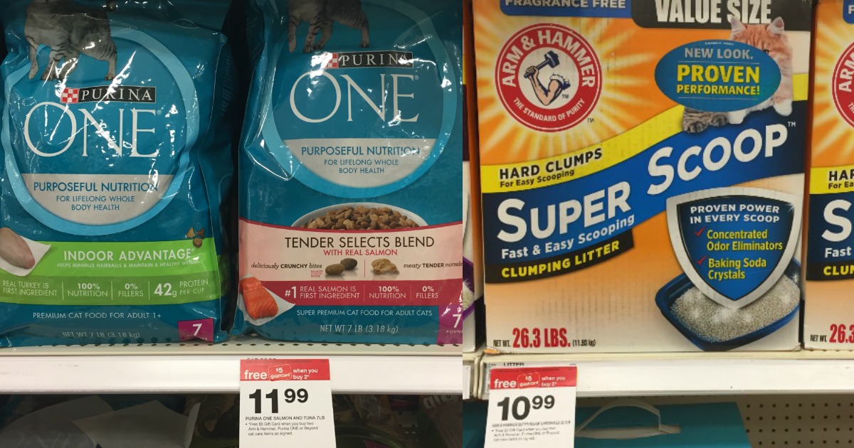 Cat Owners! NEW 1/1 Purina One Cat Food Coupon + Target Deals