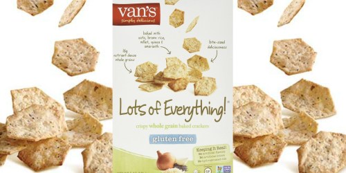 Amazon: 6 Pack Van’s Gluten-Free Crackers $6.33 (Add-On Item)