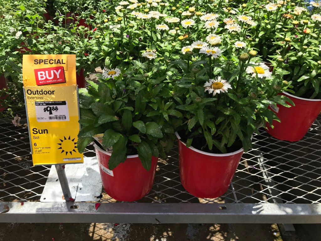 Home Depot Memorial Day Sale HOT Deals On Mulch, Plants