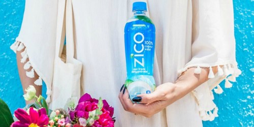 Amazon: Zico Natural Coconut Water 12-Pack Just $14.13 Shipped (Only $1.18 Per Bottle)