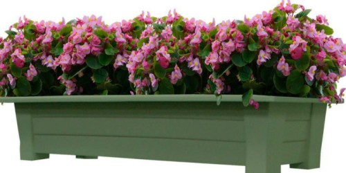 Walmart: Extra Large Deck Planter Box Only $12.68 (Great for Apartment Balcony or Backyard Patio)