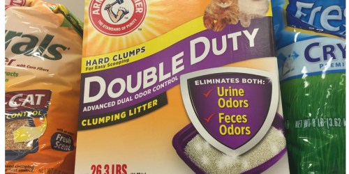 Target: Arm & Hammer Cat Litter 26.3 lb Only $6.49 Each When You Buy 2 (Regularly $10.99)