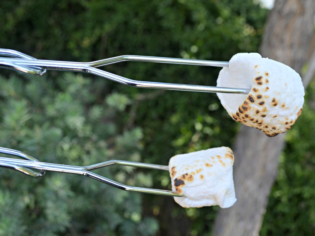 camping hacks - roasting marshmallows with bbq skewers