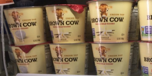 Whole Foods: Brown Cow Yogurt ONLY 25¢ Each (Regularly $1.09)