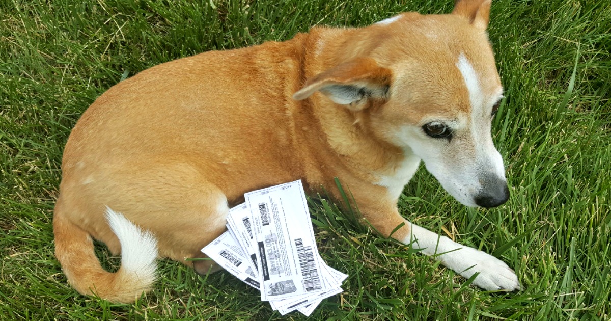 alpo coupons
