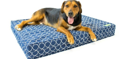 Amazon: Orthopedic 5″ Memory Foam Dog Beds as Low as $55.99 Shipped (Regularly $75.99+)