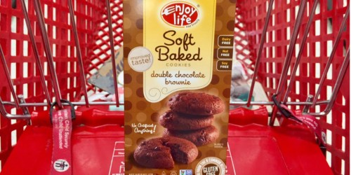 Target: FREE Enjoy Life Gluten-Free Cookies After Ibotta ($4 Value)
