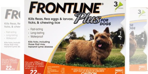 PetSmart: Frontline Plus Dog Flea & Tick 3-Dose Treatment Only $23 Each (Reg. $59.99)