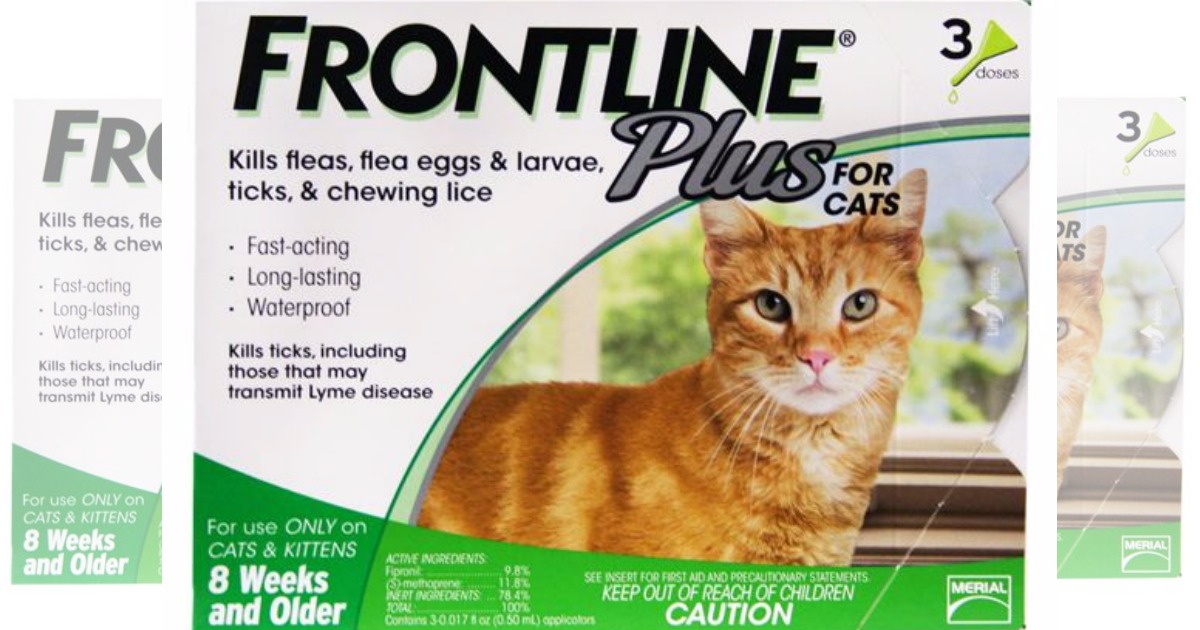 PetSmart Frontline Plus Cat Flea & Tick 3 Dose Treatment ONLY 24 Each