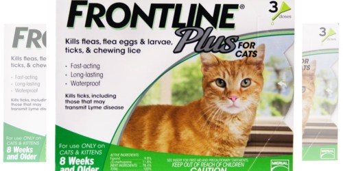 PetSmart: Frontline Plus Cat Flea & Tick 3 Dose Treatment ONLY $24 Each (Reg. $58.99)