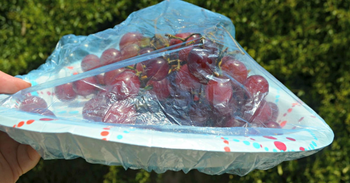 20 GENIUS Camping Hacks Using Dollar Tree Items Hip2Save