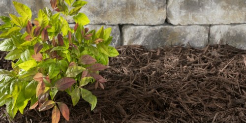 Premium Mulch 2-Cubic Feet Bags as Low as $2 at Lowe’s