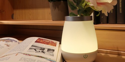 Amazon: Ohuhu 2-in-1 LED Night Light + Vase ONLY $11.99