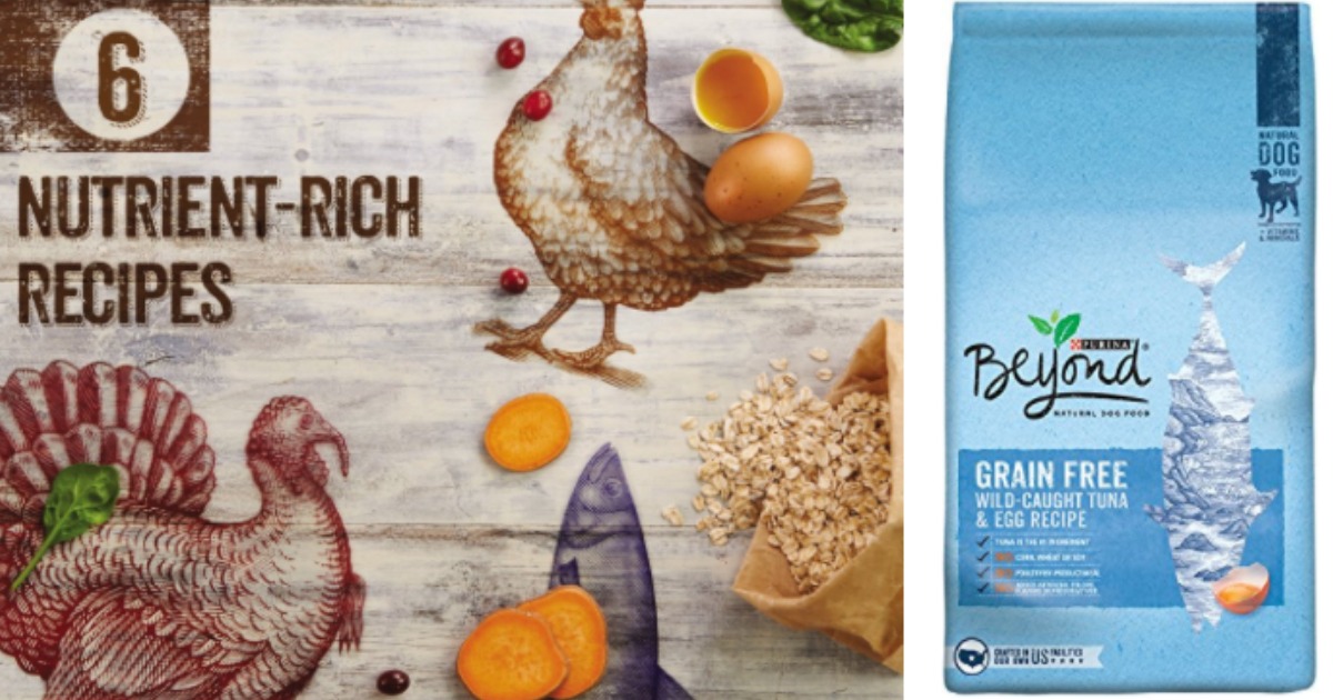 Amazon 50 Off Purina Beyond Dog & Cat Food