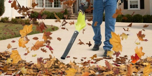 Home Depot: Ryobi ONE+ Cordless Leaf and Grass Blower Just $29.97 Shipped (Reg. $50) + More