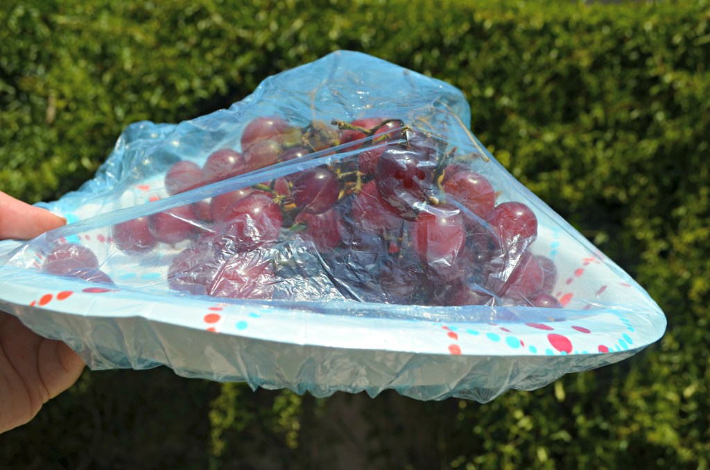 covering plate of grapes with shower cap