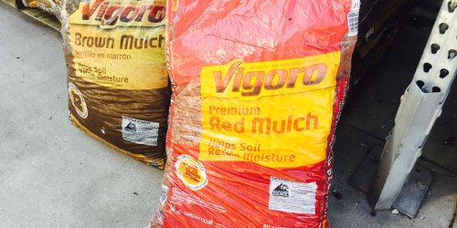 Home Depot: Vigoro Wood Mulch Bags Just $2 Each