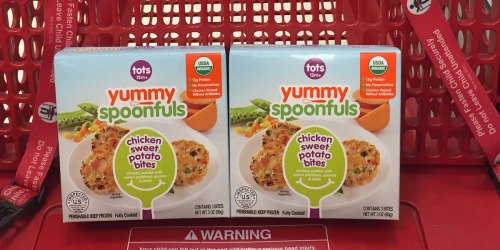 Target Shoppers! Score Free Yummy Spoonfuls Organic Toddler Meals After Ibotta