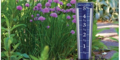 AcuRite Easy-Read Magnifying Rain Gauge Only $3.23 (Regularly $8)