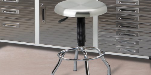 Stainless Steel Top Work Stool Only $25.20 Shipped (Regularly $69.99)