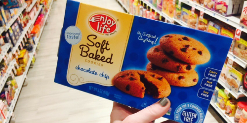 Rite Aid Shoppers! Make OVER $3 Buying Enjoy Life Cookies (After Cash Back)