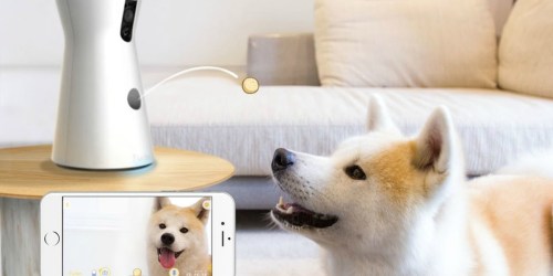 Amazon Prime: Furbo Dog Treat Tossing Cam Only $169 Shipped (Regularly $249)