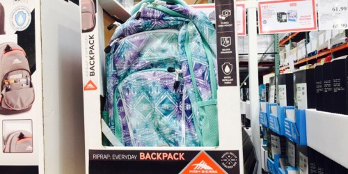 Get Ready for Back to School at Costco! High Sierra RipRap Backpack Just $15.99