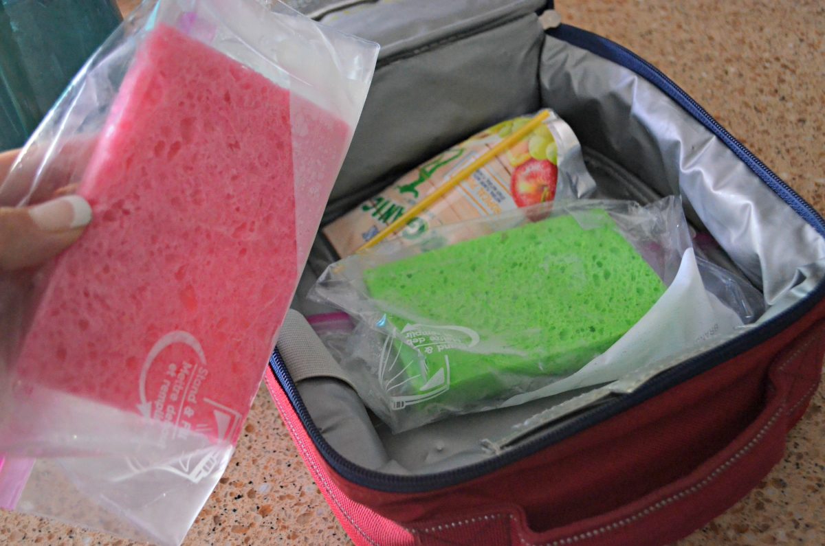 Frozen wet sponge ice packs in lunch box