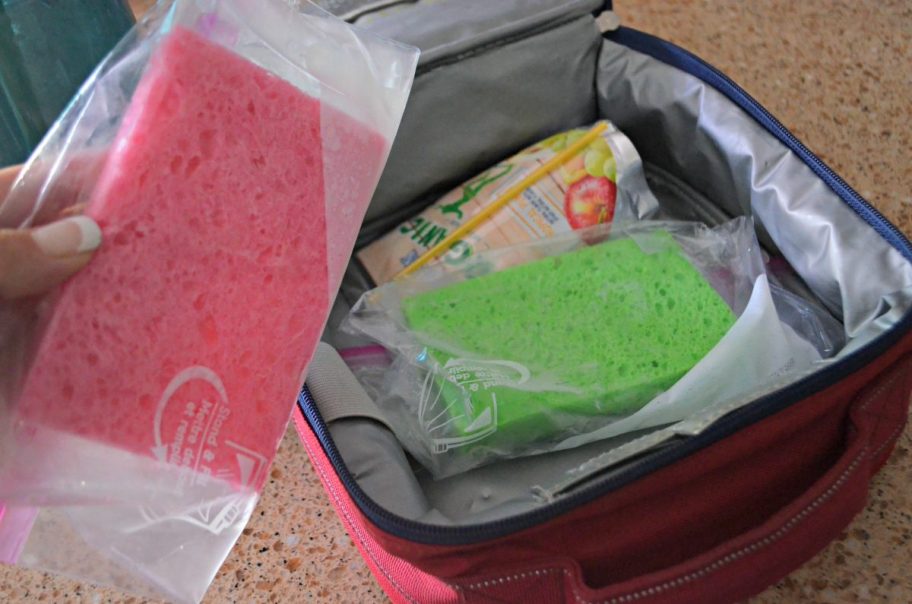 Frozen wet sponge ice packs in lunch box