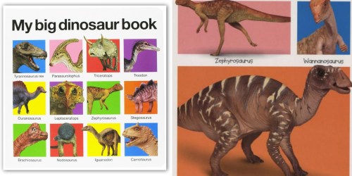 My Big Dinosaur Book ONLY $3.71 (Regularly $9)