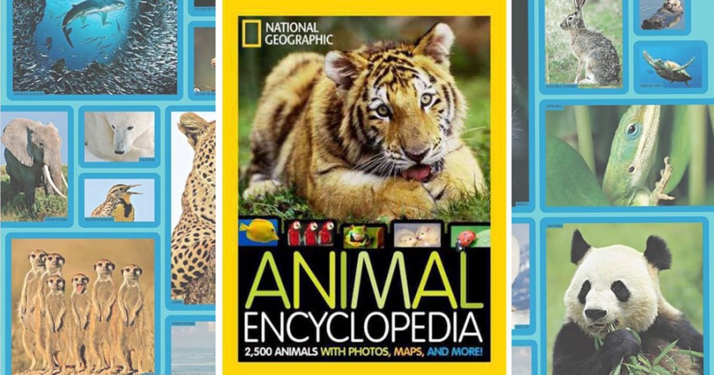 National Geographic Animal Encyclopedia Just $9.40 (Regularly $24.95