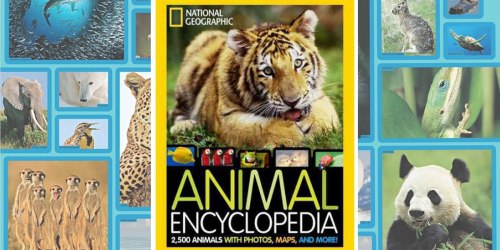 National Geographic Animal Encyclopedia Just $9.40 (Regularly $24.95) – Awesome Reviews
