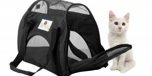 Airline-Approved Mesh Small Pet Carrier Only $8.99 Shipped (Regularly $24.99)